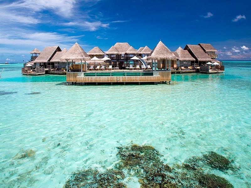 MY ISLAND: NOTES FROM A CHEF